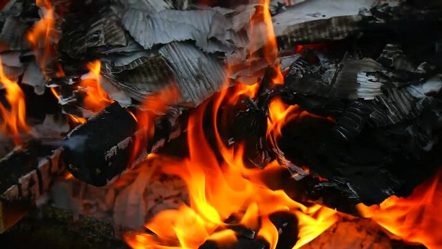 burning wood and paper. firewood is burning. tongues of flame. orange flame. bonfire. wood-fired cooking. firewood is burning for cooking barbecue