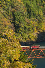 日本　静岡県榛原郡川根本町にある奥大井湖上駅に架かる鉄橋