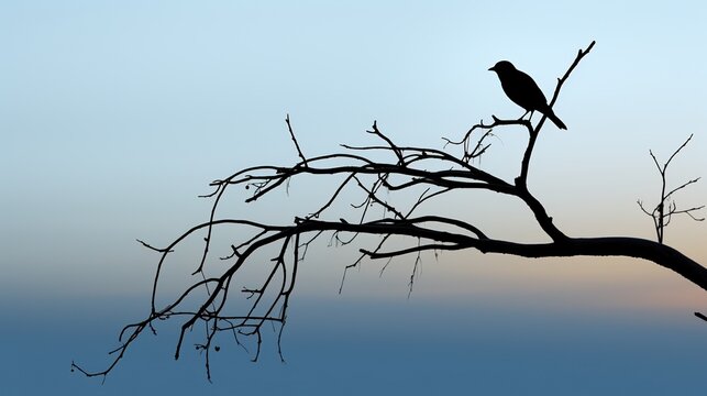 Artistically rendered silhouette of a solitary bird resting on a desolate tree limb, with ample copy space for text