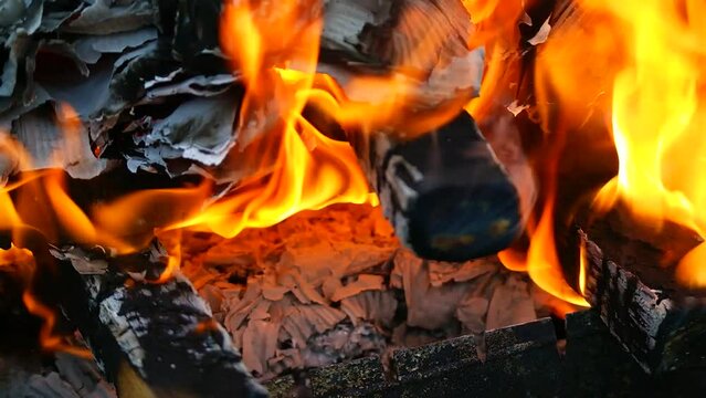 burning wood and paper. firewood is burning. tongues of flame. orange flame. bonfire. wood-fired cooking. firewood is burning for cooking barbecue