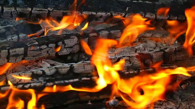 burning wood and paper. firewood is burning. tongues of flame. orange flame. bonfire. wood-fired cooking. firewood is burning for cooking barbecue