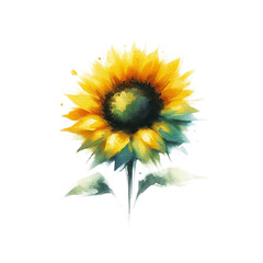 Obraz premium Lively Sunflower Watercolor Art - Isolated on Clear
