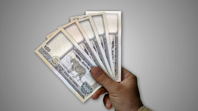 Nepal rupee growing pile of money in hand concept 3d illustration