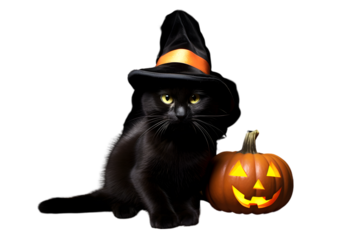 Black cat in halloween hat lying on the floor isolated on white background. Generative AI.