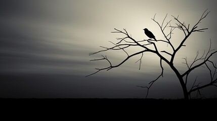 Monochromatic photograph capturing the silhouette of a lone bird perched on a barren tree branch against the evening sky