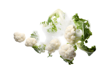 Falling cauliflower isolated on white or transparent background. Generative AI.