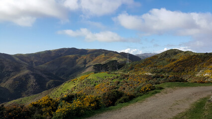 Beautiful scenic landscape view in outdoor wilderness with rolling hills in Wellington, New Zealand Aotearoa