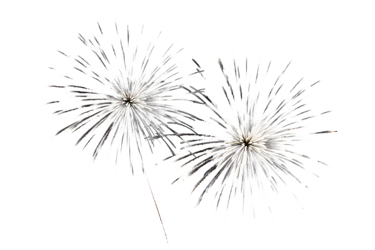 Fireworks Stock Image In Black Background isolated on white background. Generative AI.