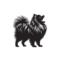 Whiskers of Wonder: Pomeranian Silhouette Set Evoking the Playful Curiosity of this Enchanting Breed - Pomeranian Illustration - Pomeranian Vector
