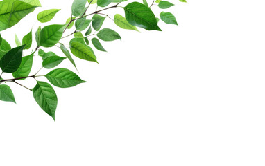 leafs green pattern on white or PNG transparent background. - Powered by Adobe