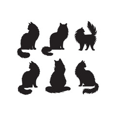 Ethereal Furry Charm: Ragdoll Cat Silhouette Series Displaying the Ethereal Beauty of this Adorable Feline - Ragdoll Cat Illustration - Ragdoll Cat Vector
