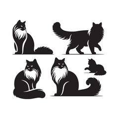 Fluffy Silhouettes: Ragdoll Cat Silhouette Collection Showcasing the Fluffiness and Softness of this Irresistible Cat - Ragdoll Cat Illustration - Ragdoll Cat Vector
 - obrazy, fototapety, plakaty