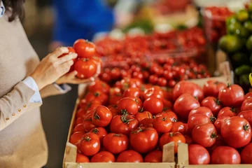 Foto op Plexiglas Cropped picture of a female's hands choosing fresh tomatoes at farmers market. © dusanpetkovic1