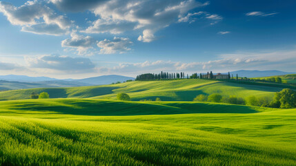 Fototapeta premium Enchanting Tuscany: A Symphony of Nature