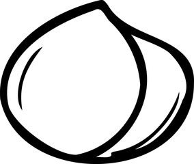 Hand drawn vector line illustration of shelled macadamia.