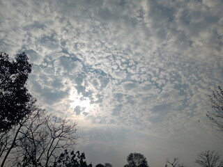 Cloudy Sky with Sunlight Peeking Through – A Serene View