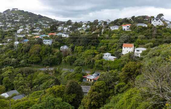 Hills og Highbury. Houses at the hills of Wellingto New Zealand.