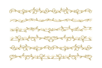 Fototapeta premium Divider Ornament Frame with line and shape