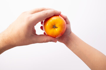 Farmers hand giving an apple to little child girl hand. Short food supply chains SFSCs concept 