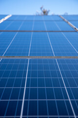 Photovoltaikmodule, selektiver Fokus, im Hochformat