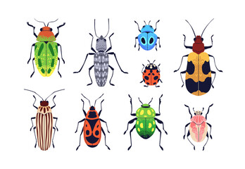 Summer beetles set. Wild bugs with multicolored wings. Fauna, nature species, insects with spots and stripes, patterns. Ladybug, firebug. Flat vector illustrations isolated on white background