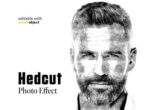 Hedcut Art Photo Effect