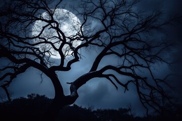 background of night moon and tree