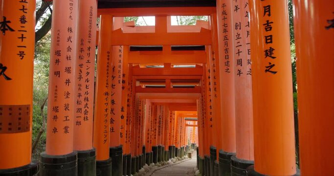 Japan, arch path and red gate of shrine for religion, sacred and spiritual entrance in Kyoto outdoor. Travel, writing and torii pillars in a garden with religious and Japanese building on holiday