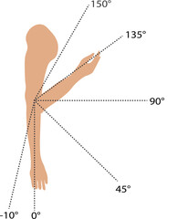 Arm Flexion and Extension Diagram Exploring Anatomy, Muscles, and Range of Motion