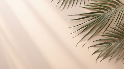 Tropical palm leaves on beige background .