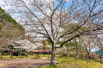 うららかな春日和に映えるダム湖の公園風景
A park view of the dam lake that...