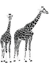 Naklejka premium giraffe illustration