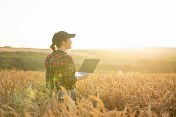 Woman farmer working with laptop on wheat field. Smart farming