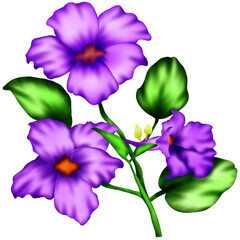 Purple Maneerat or purple Banburi