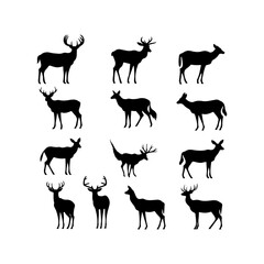 Deer black silhouette. Beautifully stylized collection of deer hand art design and vector illustration