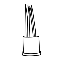 Plante d'intérieur - Cactus