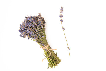 A bunch of lavender sprigs on a white background