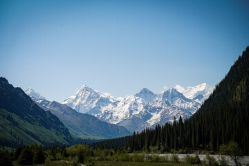 view of the snow mountains