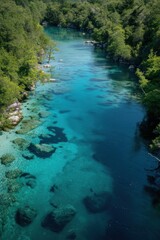 View from above of a river with crystal clear blue waters in the middle of the forest.