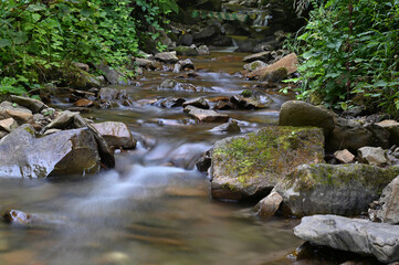 Naklejka na ściany i meble Crystal clear river originates in the mountain forest.