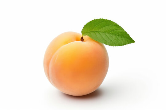 One apricot, isolated white background