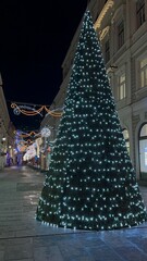Christmas Spirit at Sarajevo Cathedral: Pre-Holiday Atmosphere with Festive Tree