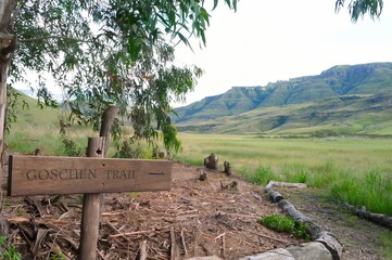 HIKING TRAIL in drakensberg foothills. Giant's Cup Wilderness, Kwazulu Natal, South Africa  - 723823612