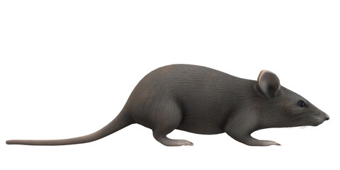 Mouse isolated on a Transparent Background