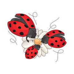 ladybug in flower illustration
