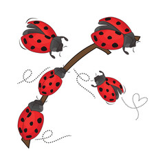 ladybug in plant illustration