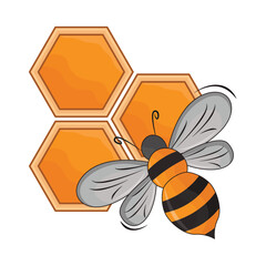 bee with honeycomb illustration