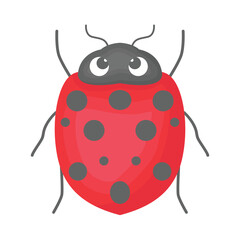 ladybug illustration