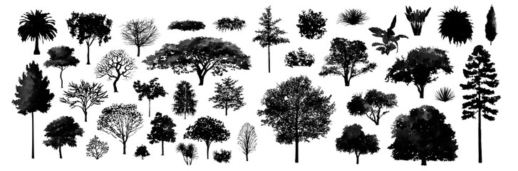 tree watercolor silhouettes shadow illustration, Minimal style tree painting hand drawn, Side view, set of graphics trees elements drawing for architecture and landscape design. Tropical