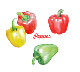 Watercolor  hand painted  illustration  of pepper , colorful peppers, vegetables, fresh food	